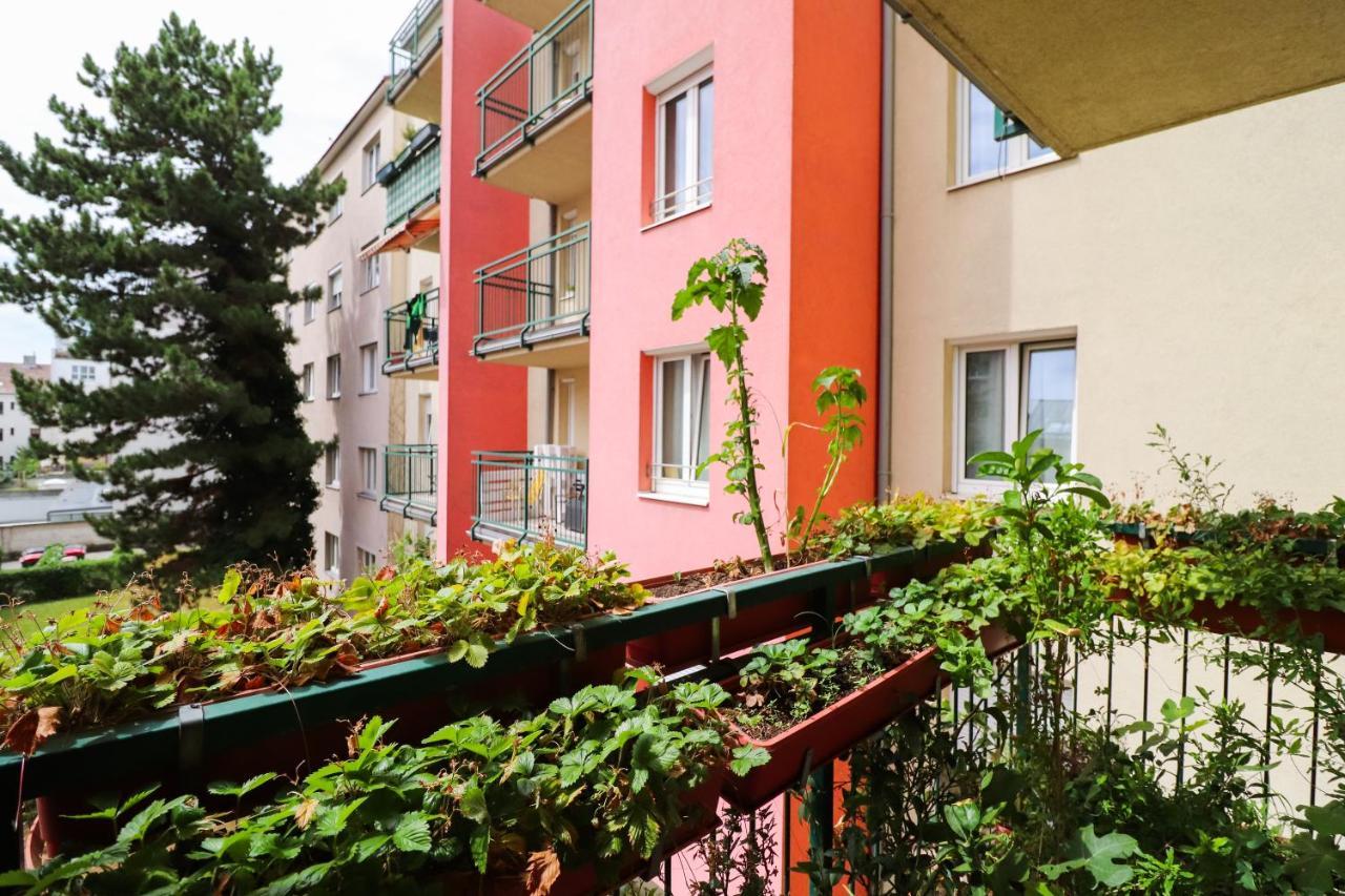 Cozynite Premium Apartment Schoenbrunn 2 Wenen Buitenkant foto